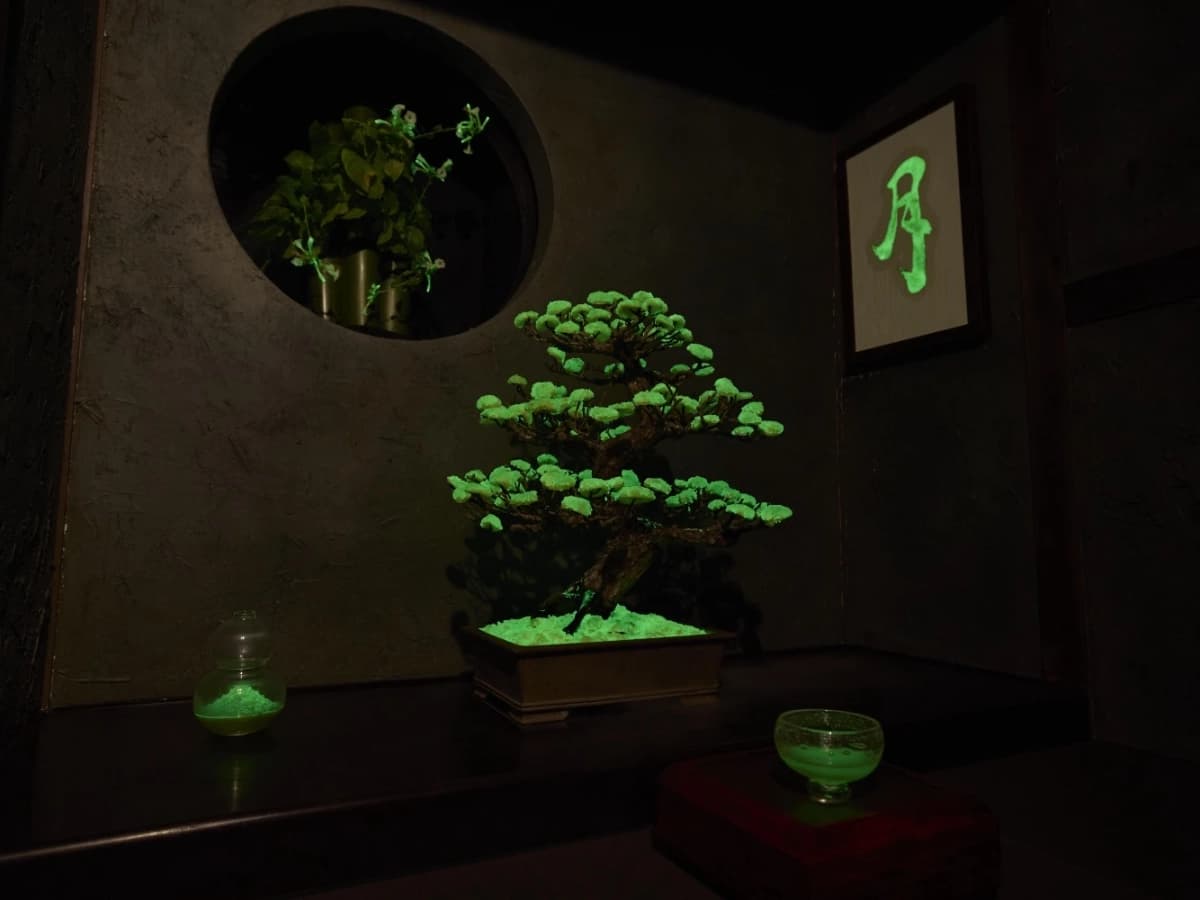 暗い和室で緑色に発光する盆栽と生け花の空間演出