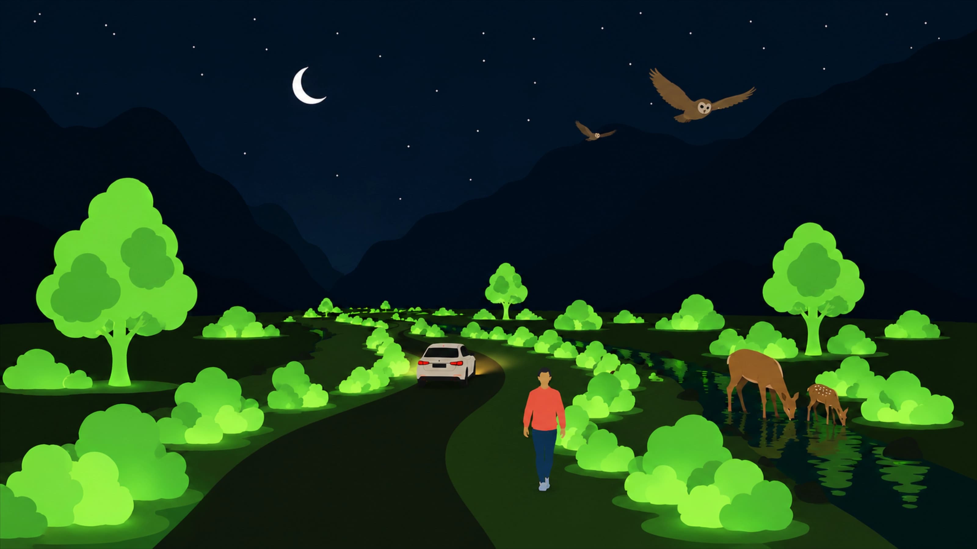 Illustration of a moonlit rural landscape where green glowing plants line the paths as people and deer pass by